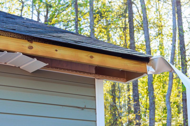 Metal Fascia Repair in Overland Park, KS